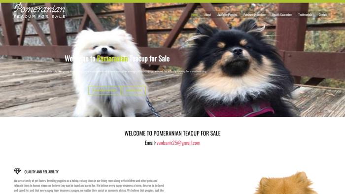 Pomeranianteacupforsale.com - Pomeranian Puppy Scam Review