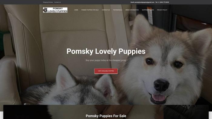 Pomskylovelypuppies.com - Pomeranian Puppy Scam Review