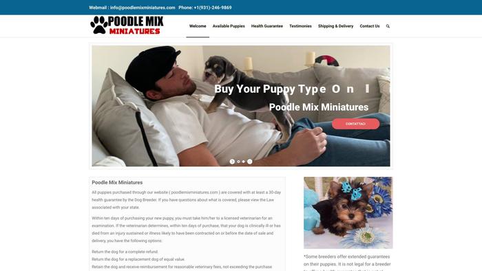 Poodlemixminiatures.com - Poodle Puppy Scam Review