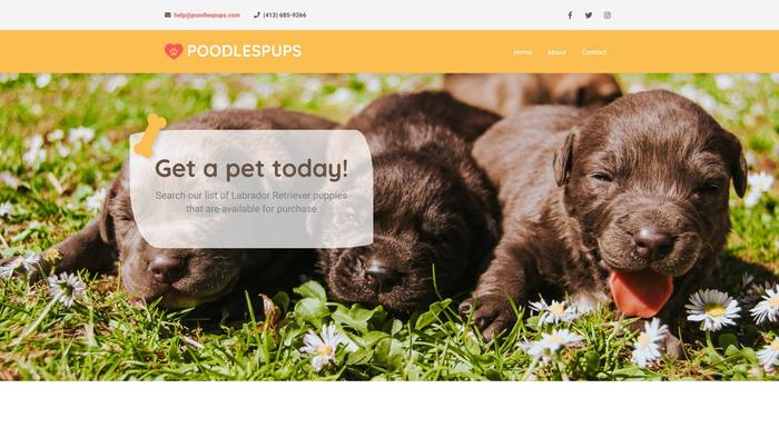 Poodlespups.com - Poodle Puppy Scam Review