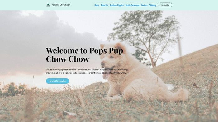 Popspupchowchow.com - Chowchow Puppy Scam Review