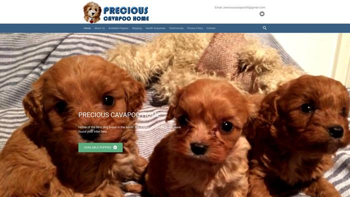 Preciouscavapooshome.com - Cavapoo Puppy Scam Review