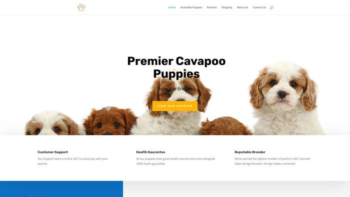 Premiercavapoo.com - Cavapoo Puppy Scam Review