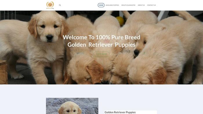 Premiumgoldenhomes.com - Golden Retriever Puppy Scam Review