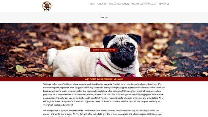 Premiumpughome.com - Pug Puppy Scam Review