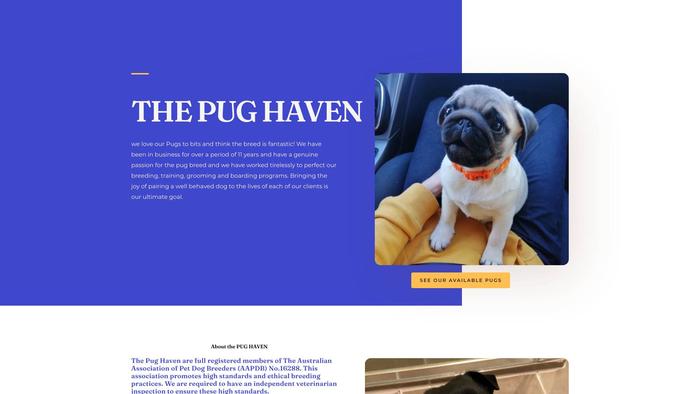 Pug-haven.com - Pug Puppy Scam Review