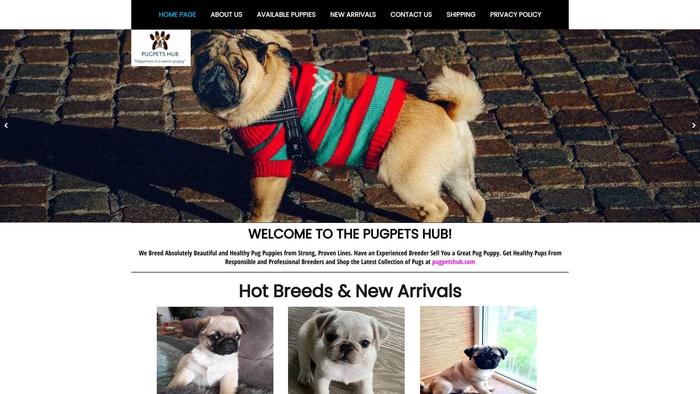 Pugpetshub.com - Pug Puppy Scam Review