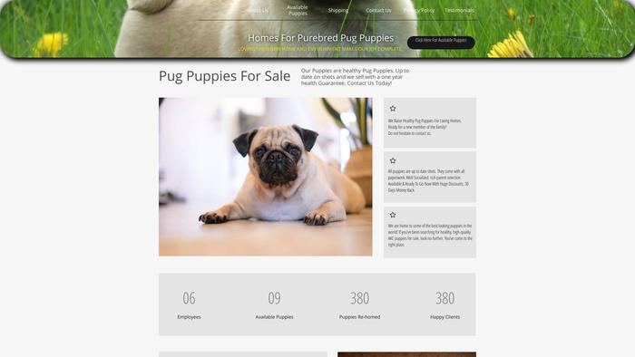 Pugpuppiessquarefeild.com - Pug Puppy Scam Review