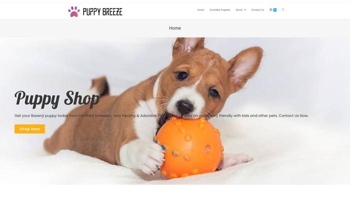 Puppiesbreeze.com - Basenji Puppy Scam Review