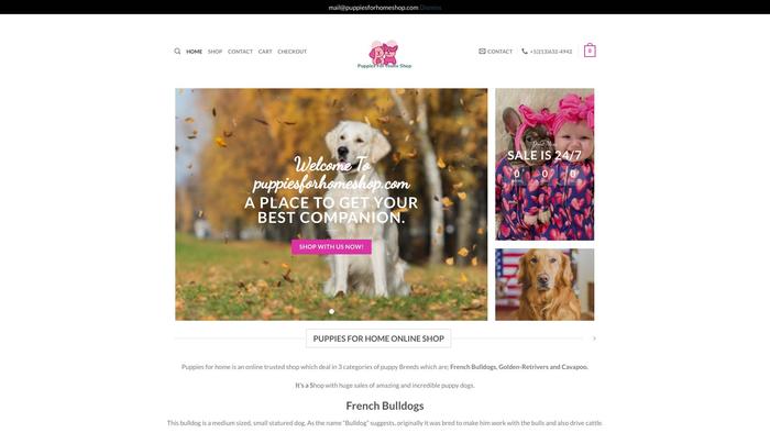 Puppiesforhomeshop.com - Cavapoo Puppy Scam Review