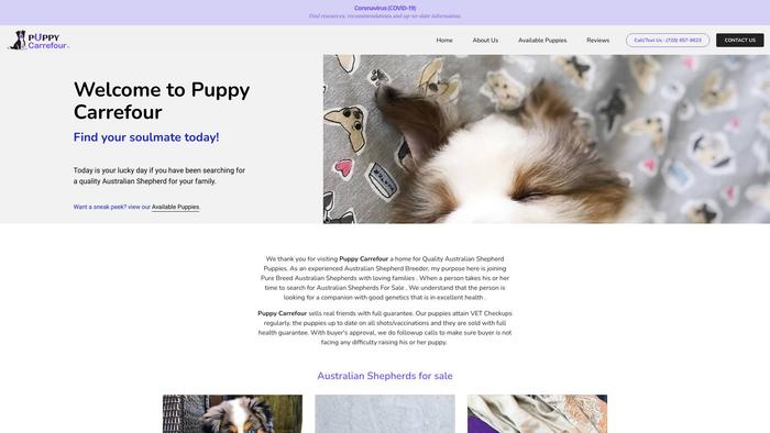 Puppycarrefour.com - Australian Shepherd Puppy Scam Review