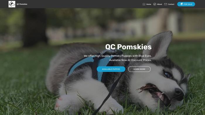 Qcpomskies.com - Pomeranian Puppy Scam Review