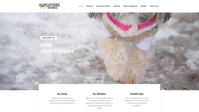 Qualityshorkiehomes.com - Yorkshire Terrier Puppy Scam Review