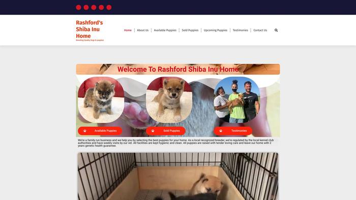 Rashfordshibainuhome.com - Shibhainu Puppy Scam Review