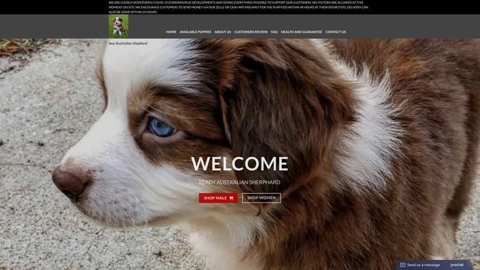 Readyaustralianshepherd.com - Germanshepherd Puppy Scam Review