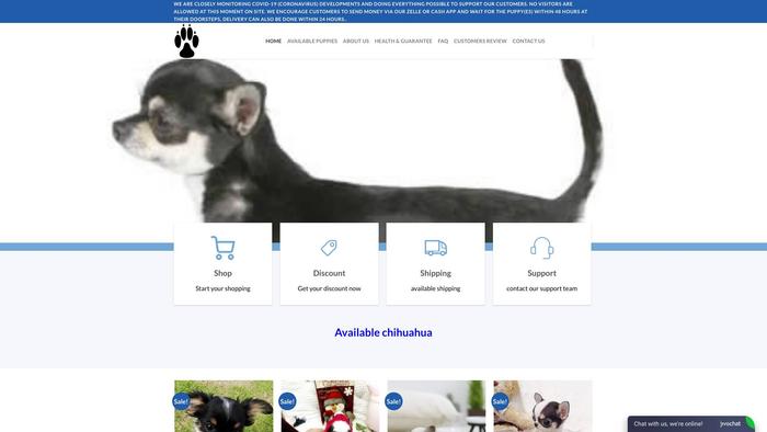 Readychihua-hua.com - Chihuahua Puppy Scam Review