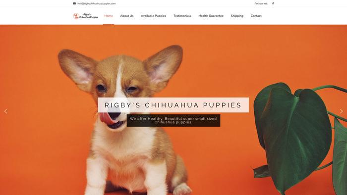 Rigbychihuahuapuppies.com - Chihuahua Puppy Scam Review