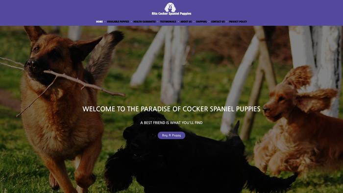 Ritacockerspanielpuppies.com - Cockerspaniel Puppy Scam Review