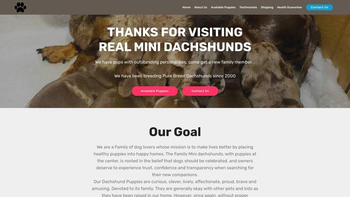 Rminidachshunds.com - Dachshund Puppy Scam Review