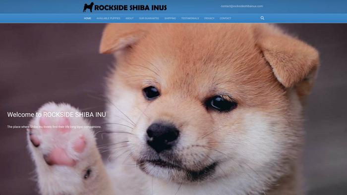 Rocksideshibainus.com - Shibhainu Puppy Scam Review