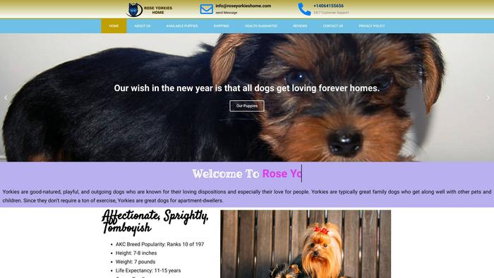 Roseyorkieshome.com - Yorkshire Terrier Puppy Scam Review