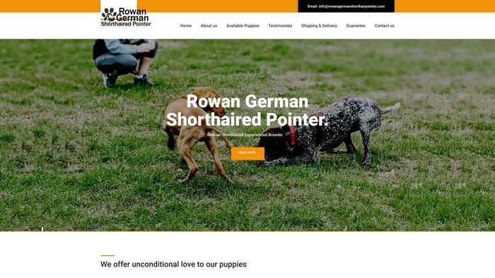 Rowangermanshorthairpointer.com - British Shorthair Puppy Scam Review