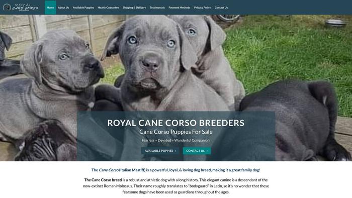 Royalcanecorsobreeder.com - Cane Corso Puppy Scam Review