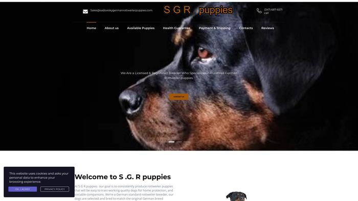 Sadowskygermanrottweilerpuppies.com - Germanshepherd Puppy Scam Review