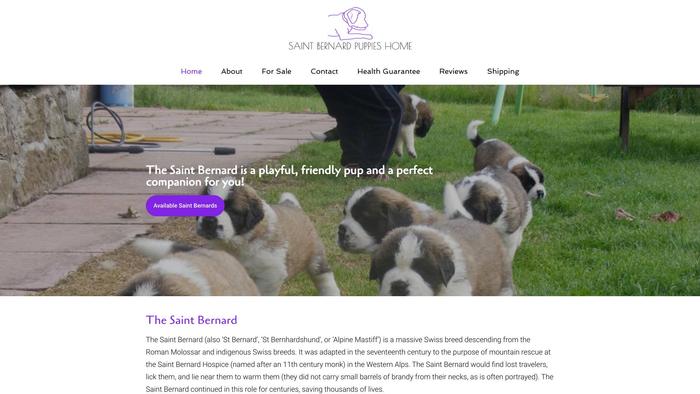 Saintbernardpuppieshome.com - Saint Bernard Puppy Scam Review