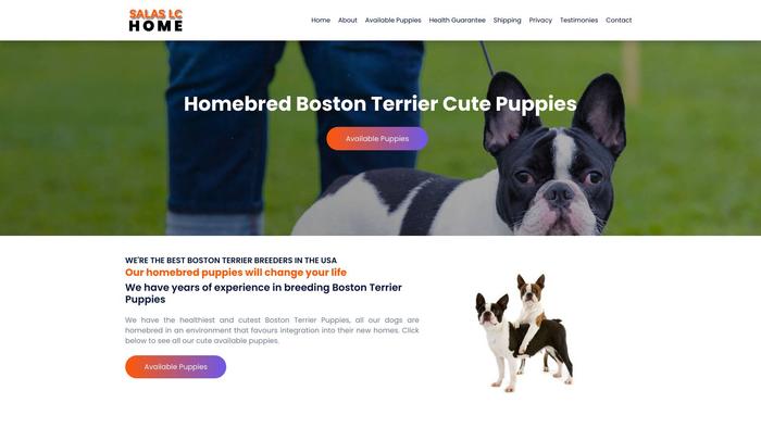 Salaslchome.com - Boston Terrier Puppy Scam Review