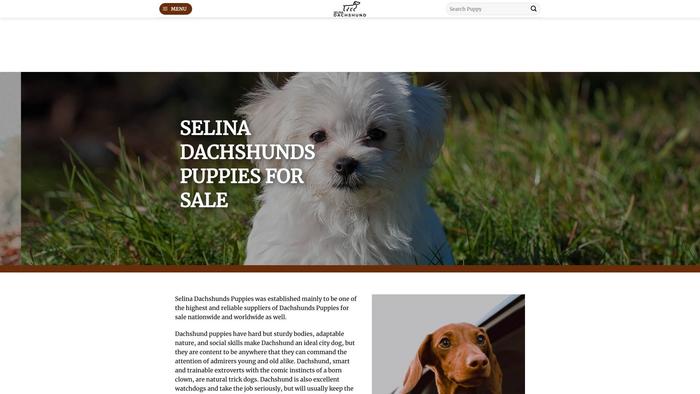 Selinadachshunds.com - Dachshund Puppy Scam Review