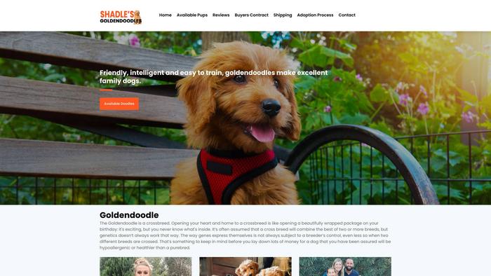 Shadlesgoldendoodles.store - Golden Doodle Puppy Scam Review