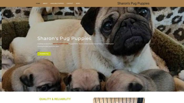 Sharonspugpuppies.com - Pug Puppy Scam Review