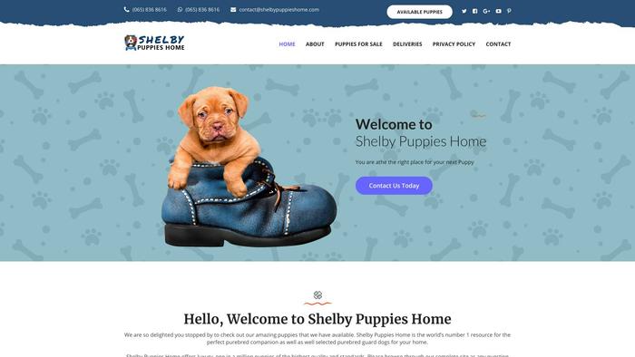 Shelbypuppieshome.com - Beagle Puppy Scam Review