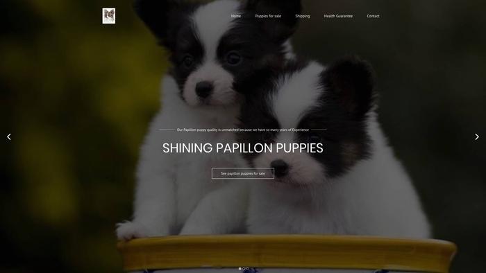 Shiningpapillons.com - Papillon Puppy Scam Review