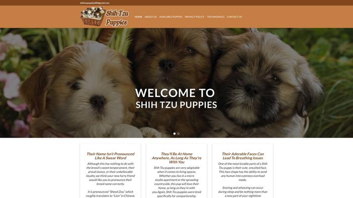 Shiztzupuppies.com - Shihtzu Puppy Scam Review