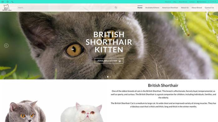 Shorthairkitten.com - British Shorthair Puppy Scam Review