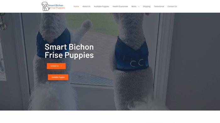 Smartbichonfrisepuppies.com - Bichon Frise Puppy Scam Review