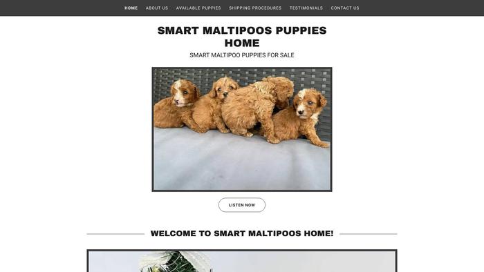 Smartmaltipoopuppy.com - Maltipoo Puppy Scam Review