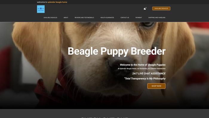 Splendorbeagles.com - Beagle Puppy Scam Review