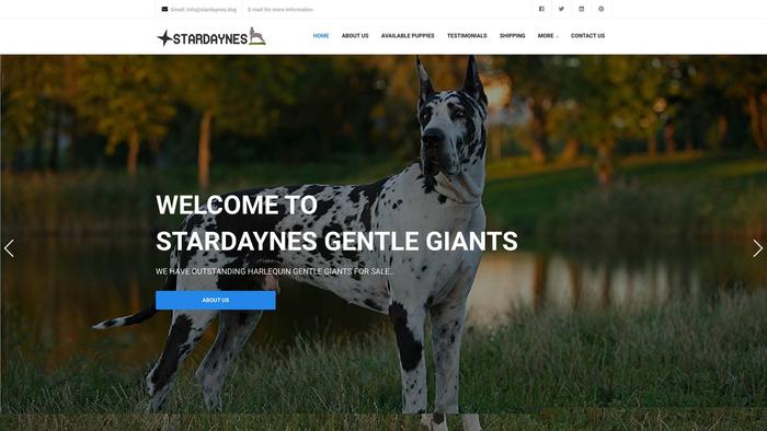 Stardaynes.dog - Great Dane Puppy Scam Review