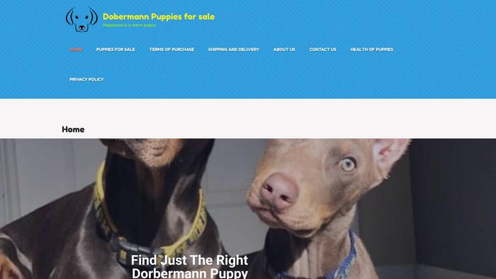 Stardobermanpups.store - Doberman Pinscher Puppy Scam Review