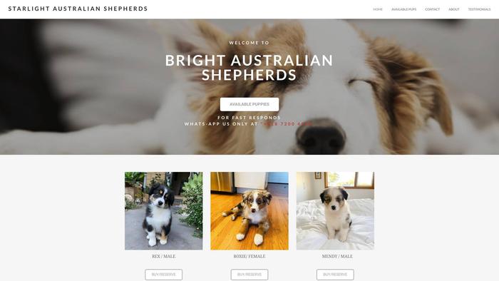 Starlightaustralianshepherds.com - Germanshepherd Puppy Scam Review