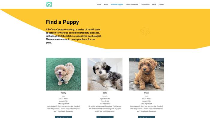 Stevenscavapoofamily.com - Cavapoo Puppy Scam Review