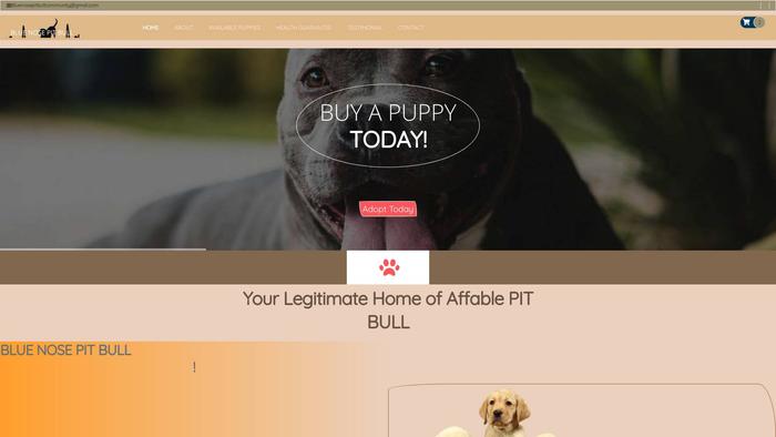 Stunningbluenosepitbullhome.com - Pit Bull Puppy Scam Review