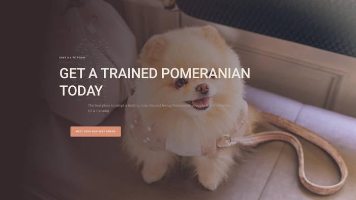 Stunningpomeranians.com - Pomeranian Puppy Scam Review