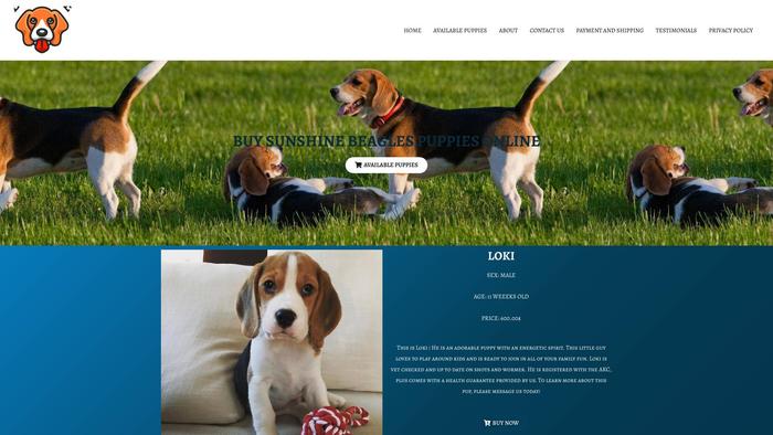 Sunshinebeagles.com - Beagle Puppy Scam Review