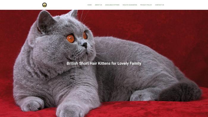 Superhealthybritishshorthairkittens.com - British Shorthair Puppy Scam Review