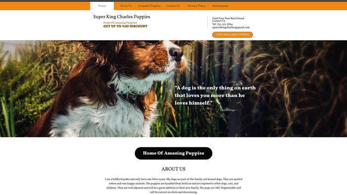 Superkingcharles.com - Cavalier King Charles Spaniel Puppy Scam Review