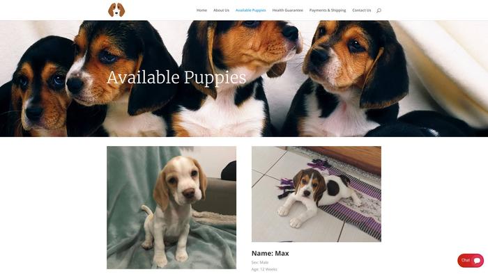 Sweetadorablebeagles.com - Beagle Puppy Scam Review